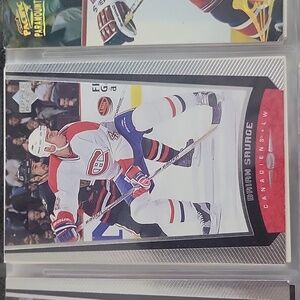 Hockey Card Brian Sauage